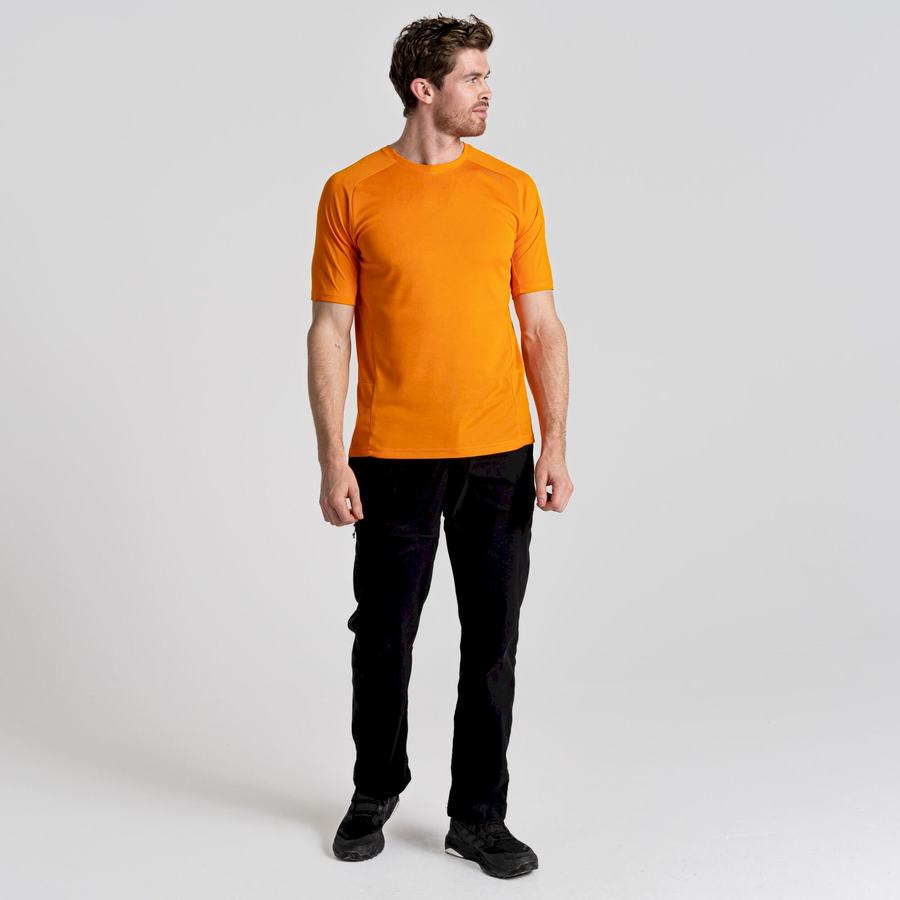 T Shirts Craghoppers Dynamic Pro Corta Sleeved Homme Orange | SUS6265CX