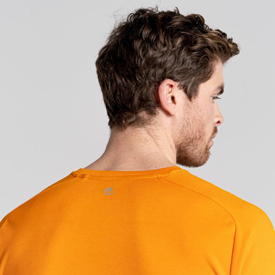 T Shirts Craghoppers Dynamic Pro Corta Sleeved Homme Orange | SUS6265CX