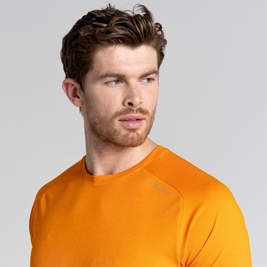 T Shirts Craghoppers Dynamic Pro Corta Sleeved Homme Orange | SUS6265CX