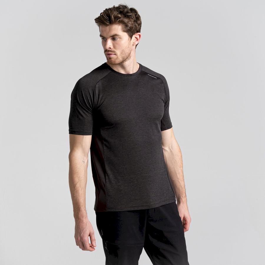 T Shirts Craghoppers Dynamic Pro Corta Sleeved Homme Noir | ZWE8551AG