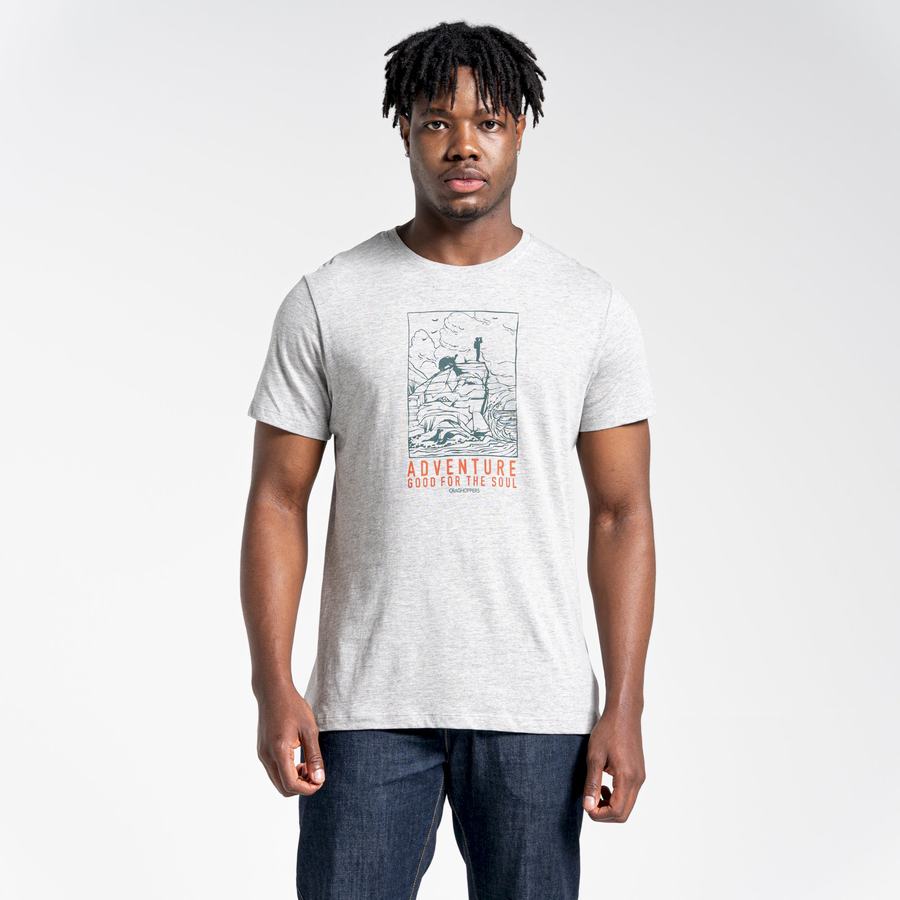 T Shirts Craghoppers Lugo Corta Sleeved Homme Grise | EJR9873MN