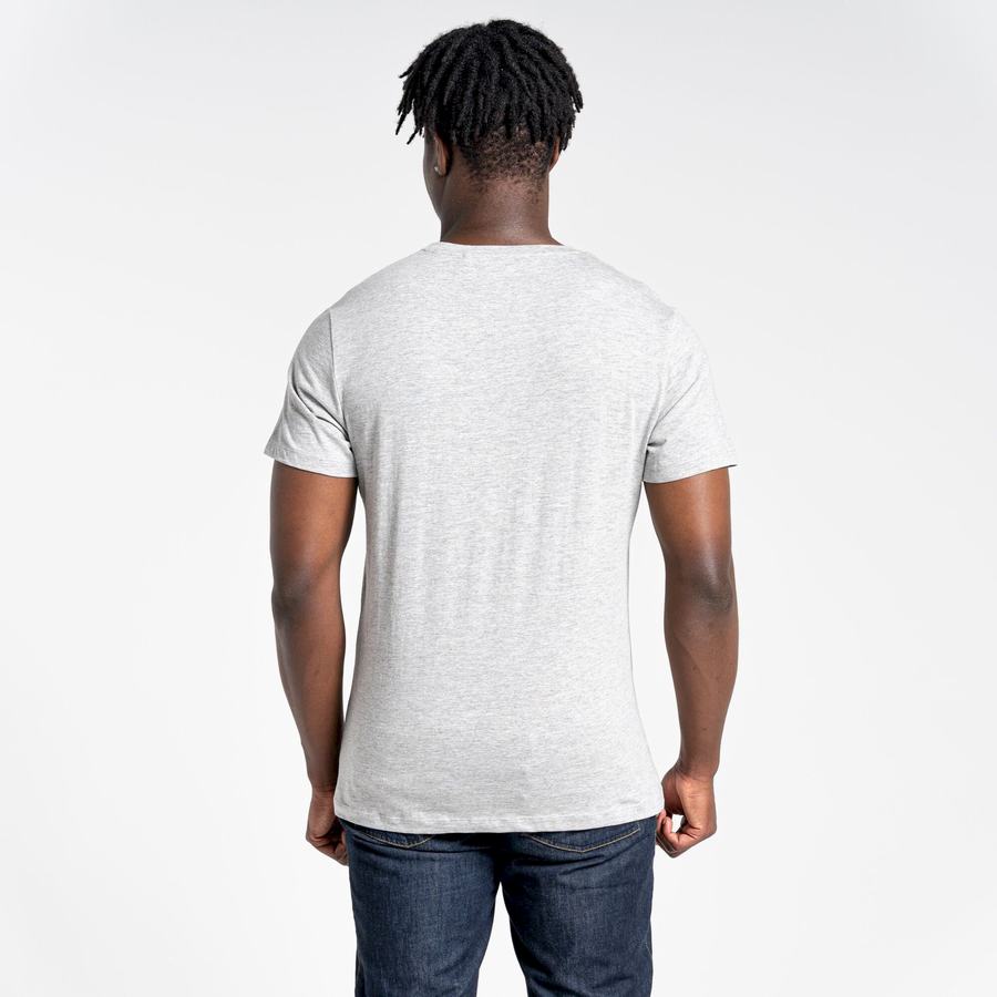 T Shirts Craghoppers Lugo Corta Sleeved Homme Grise | EJR9873MN