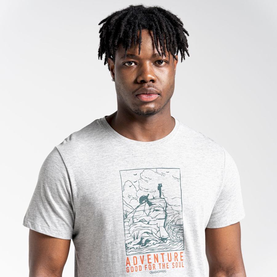 T Shirts Craghoppers Lugo Corta Sleeved Homme Grise | EJR9873MN