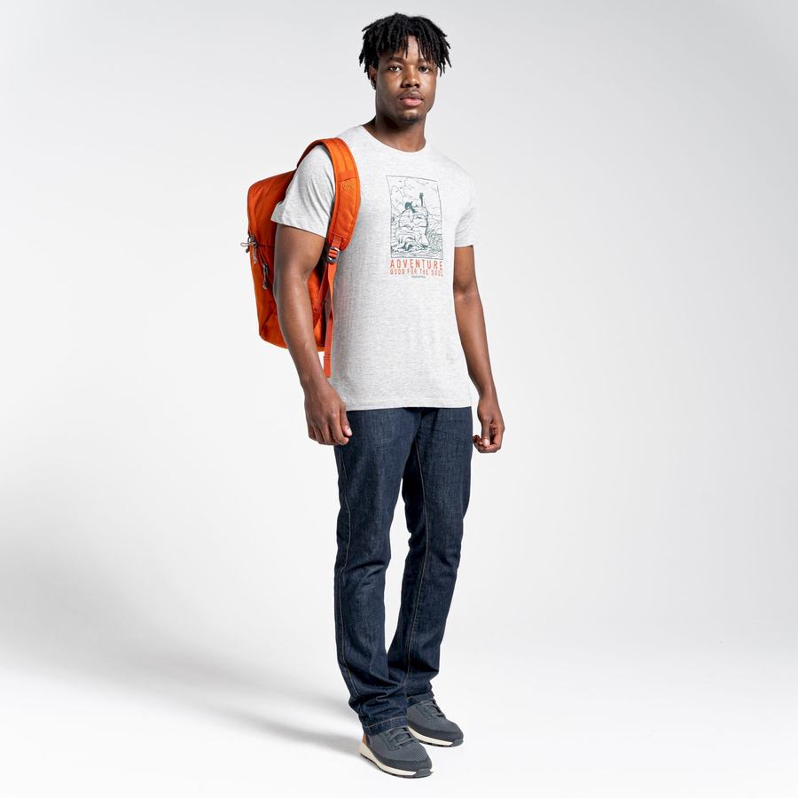 T Shirts Craghoppers Lugo Corta Sleeved Homme Grise | EJR9873MN