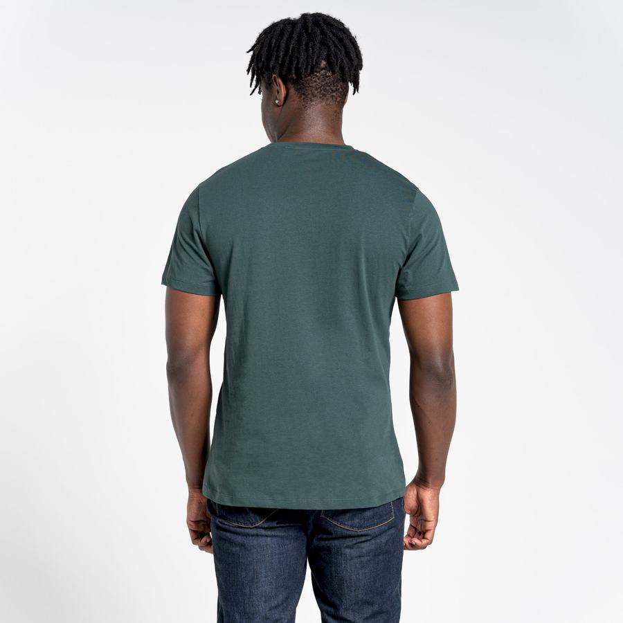 T Shirts Craghoppers Lugo Corta Sleeved Homme Vert Clair | IIP673RD