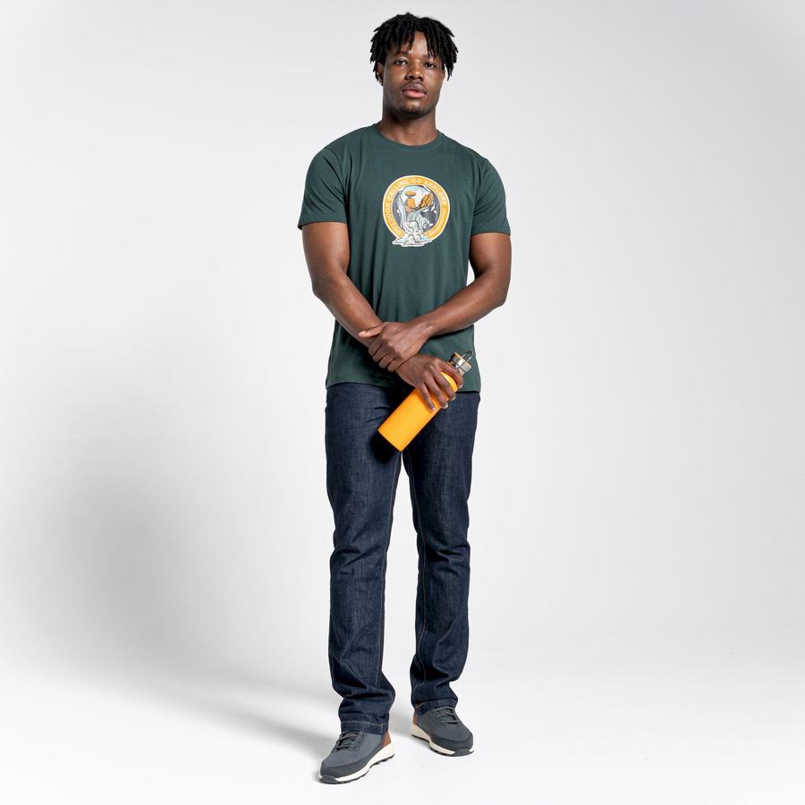T Shirts Craghoppers Lugo Corta Sleeved Homme Vert Clair | IIP673RD