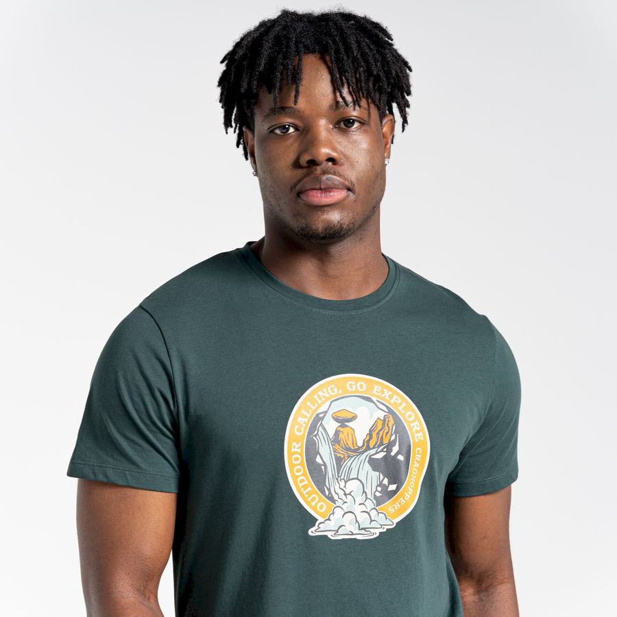 T Shirts Craghoppers Lugo Corta Sleeved Homme Vert Clair | IIP673RD