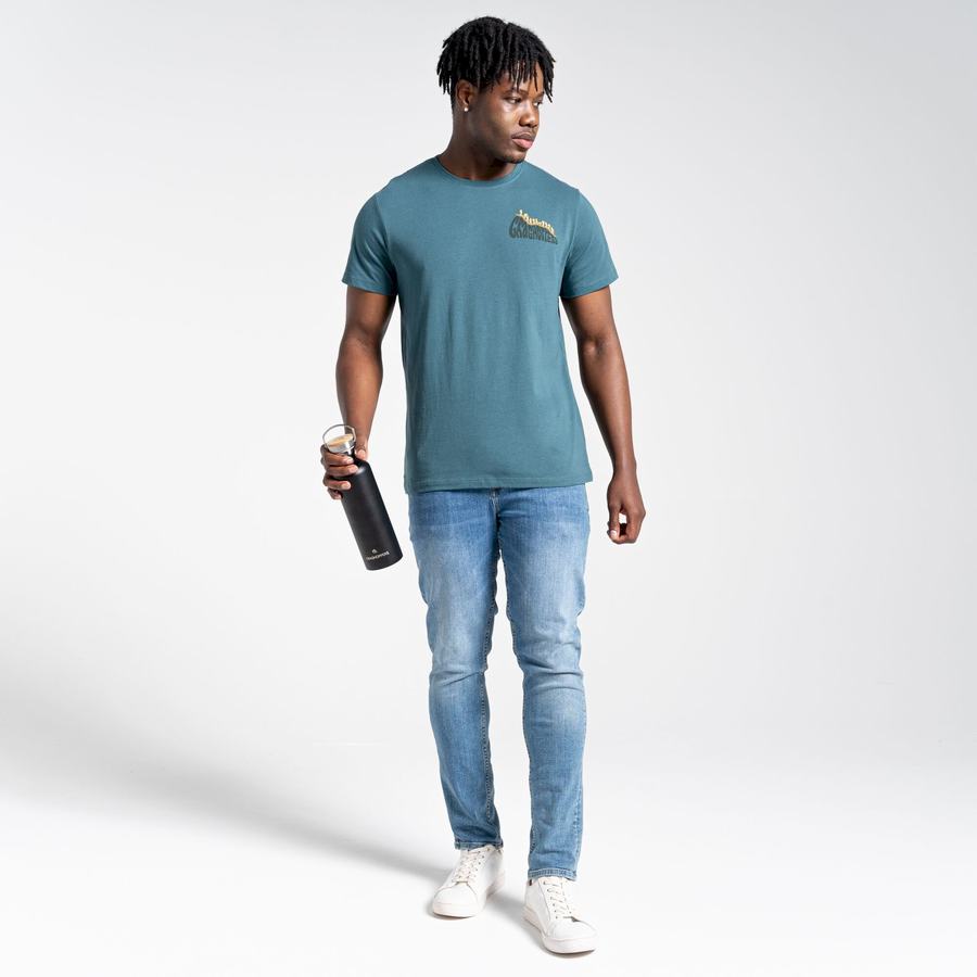 T Shirts Craghoppers Lugo Corta Sleeved Homme Vert | LFC5180FW