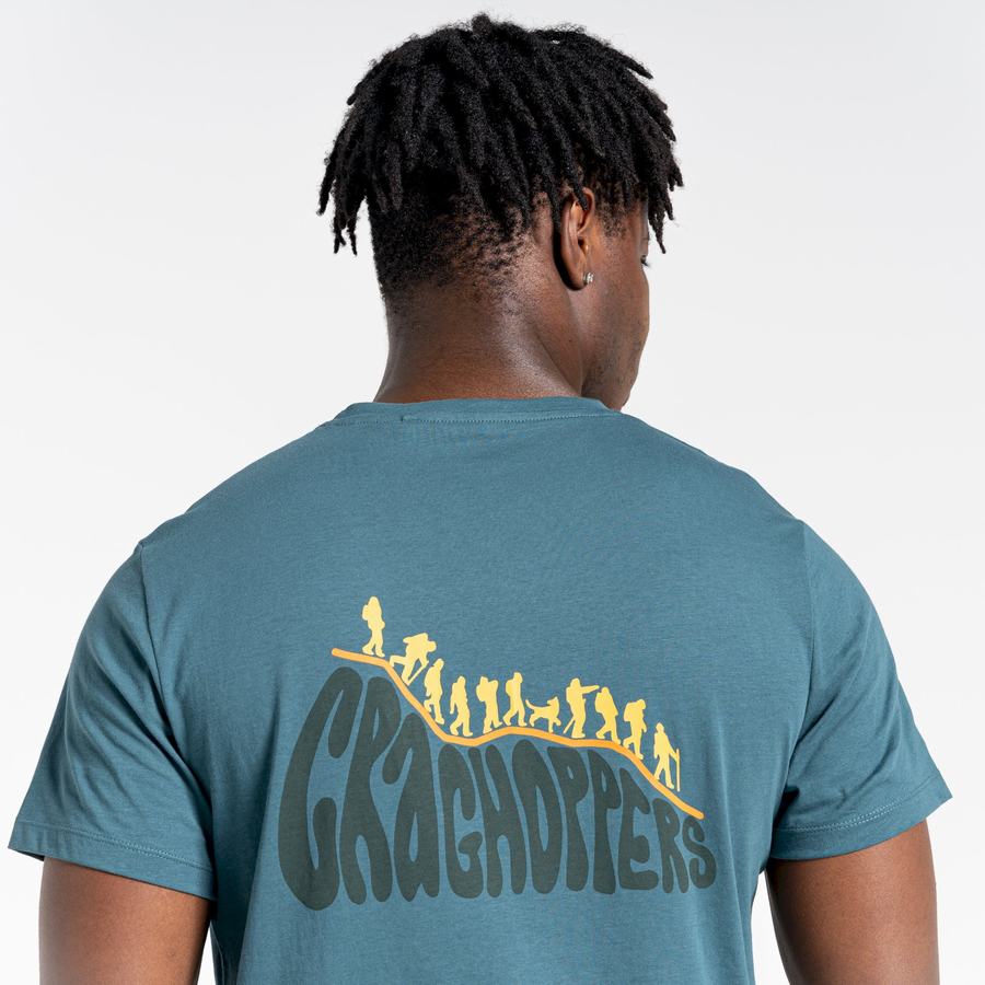 T Shirts Craghoppers Lugo Corta Sleeved Homme Vert | LFC5180FW