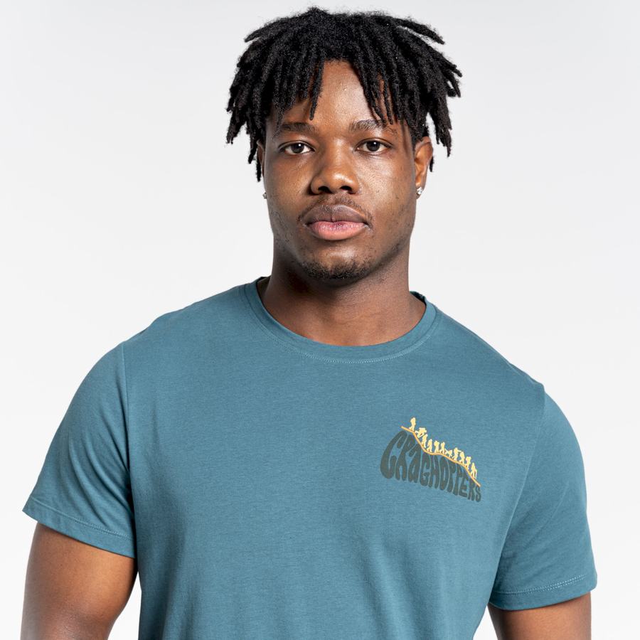 T Shirts Craghoppers Lugo Corta Sleeved Homme Vert | LFC5180FW
