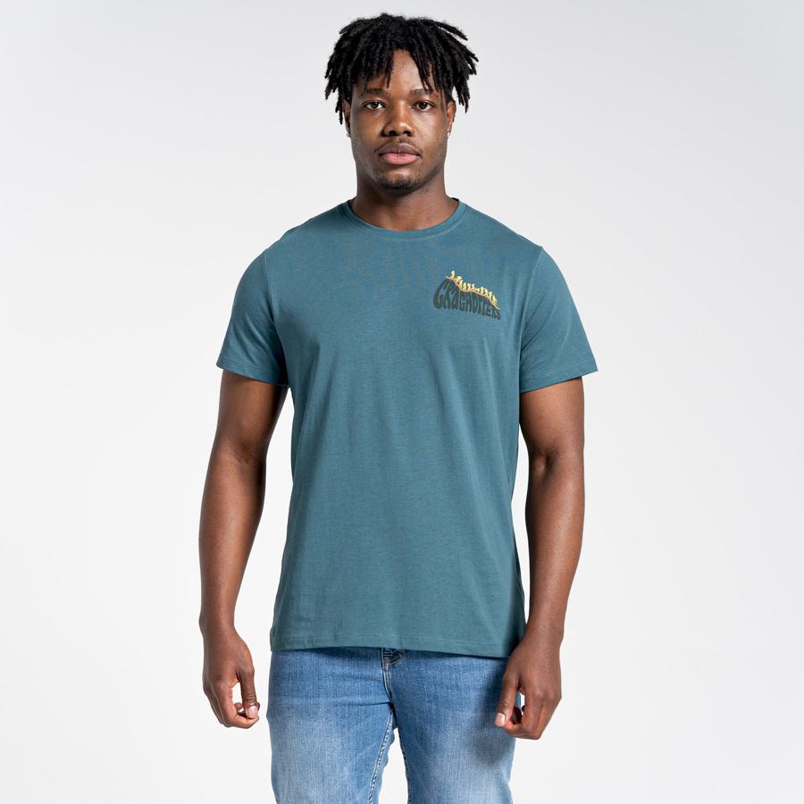 T Shirts Craghoppers Lugo Corta Sleeved Homme Vert | LFC5180FW