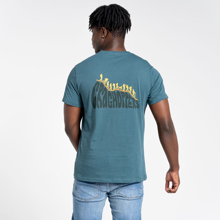 T Shirts Craghoppers Lugo Corta Sleeved Homme Vert | LFC5180FW