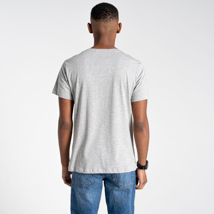T Shirts Craghoppers Lugo Corta Sleeved Homme Grise | LWY5671KJ