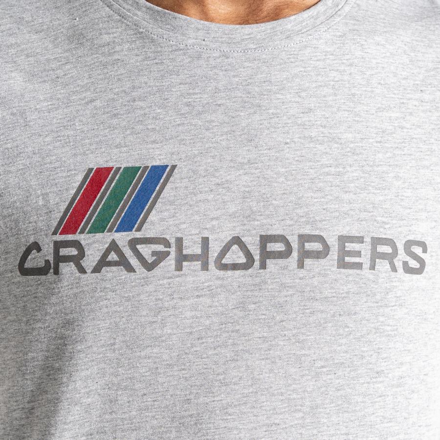 T Shirts Craghoppers Lugo Corta Sleeved Homme Grise | LWY5671KJ