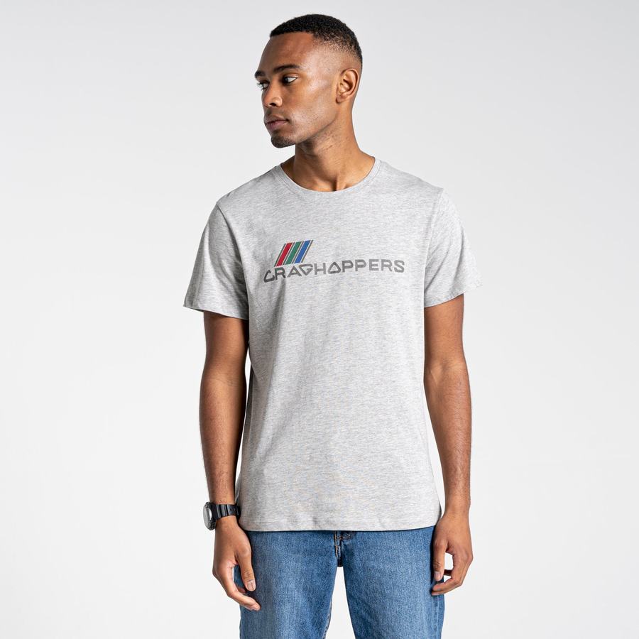 T Shirts Craghoppers Lugo Corta Sleeved Homme Grise | LWY5671KJ