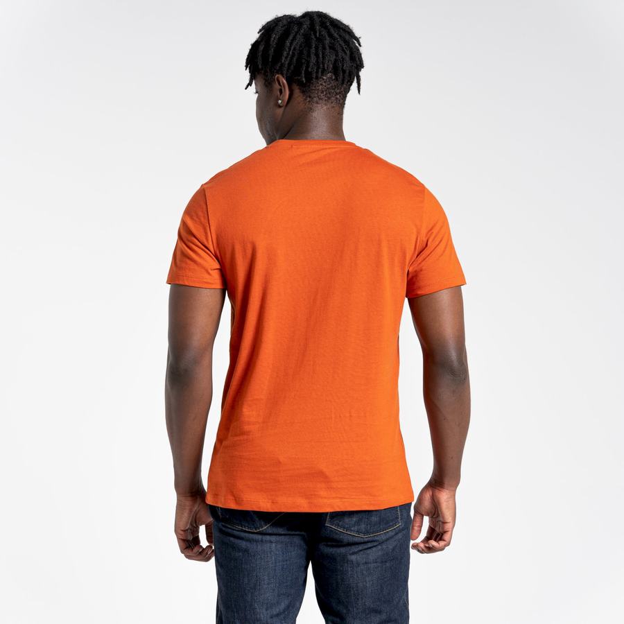 T Shirts Craghoppers Lugo Corta Sleeved Homme Orange | MEV3578YW