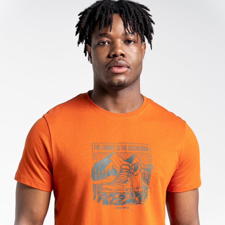 T Shirts Craghoppers Lugo Corta Sleeved Homme Orange | MEV3578YW
