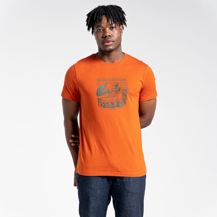 T Shirts Craghoppers Lugo Corta Sleeved Homme Orange | MEV3578YW
