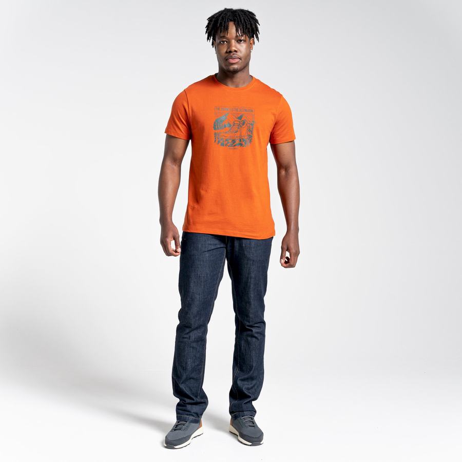 T Shirts Craghoppers Lugo Corta Sleeved Homme Orange | MEV3578YW