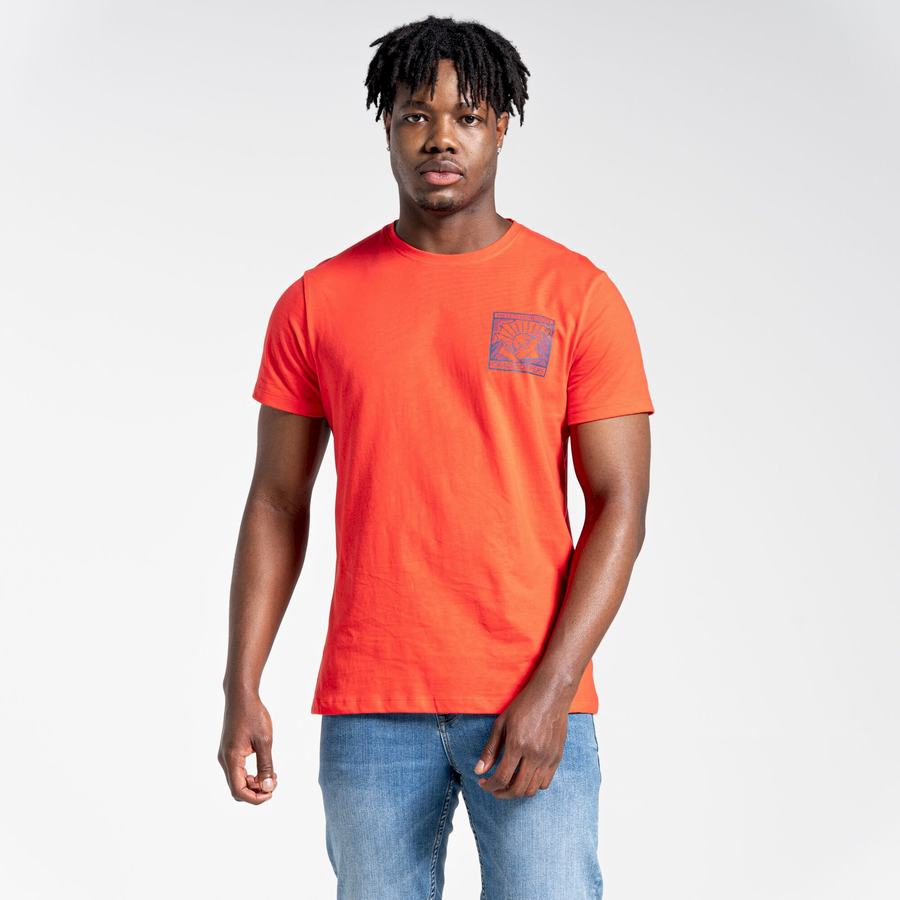 T Shirts Craghoppers Lugo Corta Sleeved Homme Orange Rouge | OXW6150AW