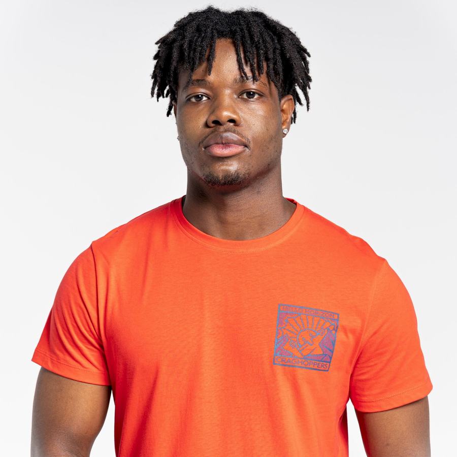 T Shirts Craghoppers Lugo Corta Sleeved Homme Orange Rouge | OXW6150AW