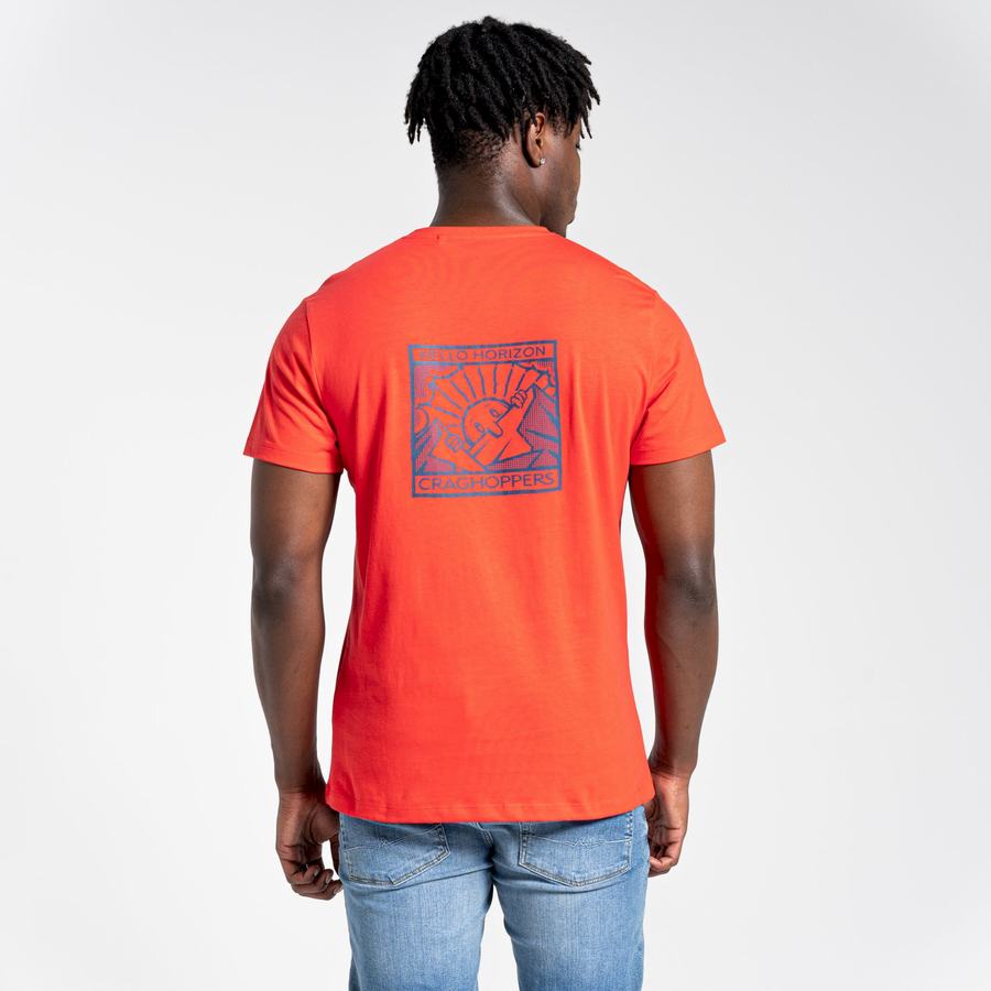T Shirts Craghoppers Lugo Corta Sleeved Homme Orange Rouge | OXW6150AW