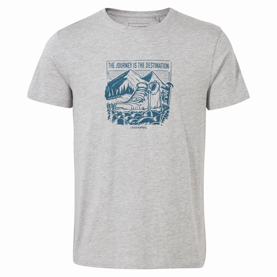 T Shirts Craghoppers Lugo Corta Sleeved Homme Grise | TGR2710KI