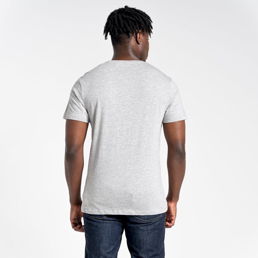 T Shirts Craghoppers Lugo Corta Sleeved Homme Grise | TGR2710KI