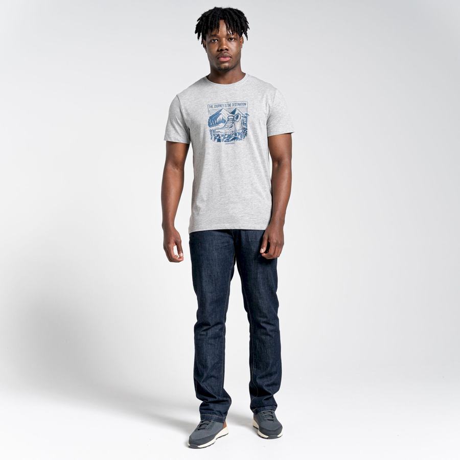 T Shirts Craghoppers Lugo Corta Sleeved Homme Grise | TGR2710KI