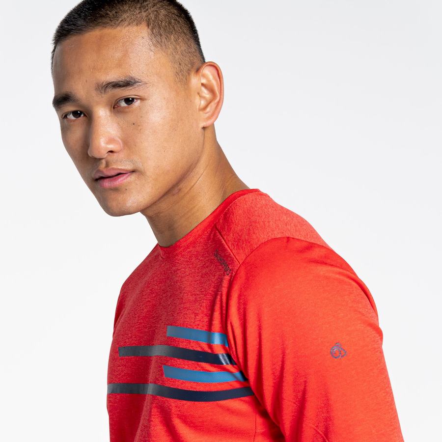 T Shirts Craghoppers NosiLife Pro Active Corta Sleeved Homme Orange Rouge | PMG8179AT