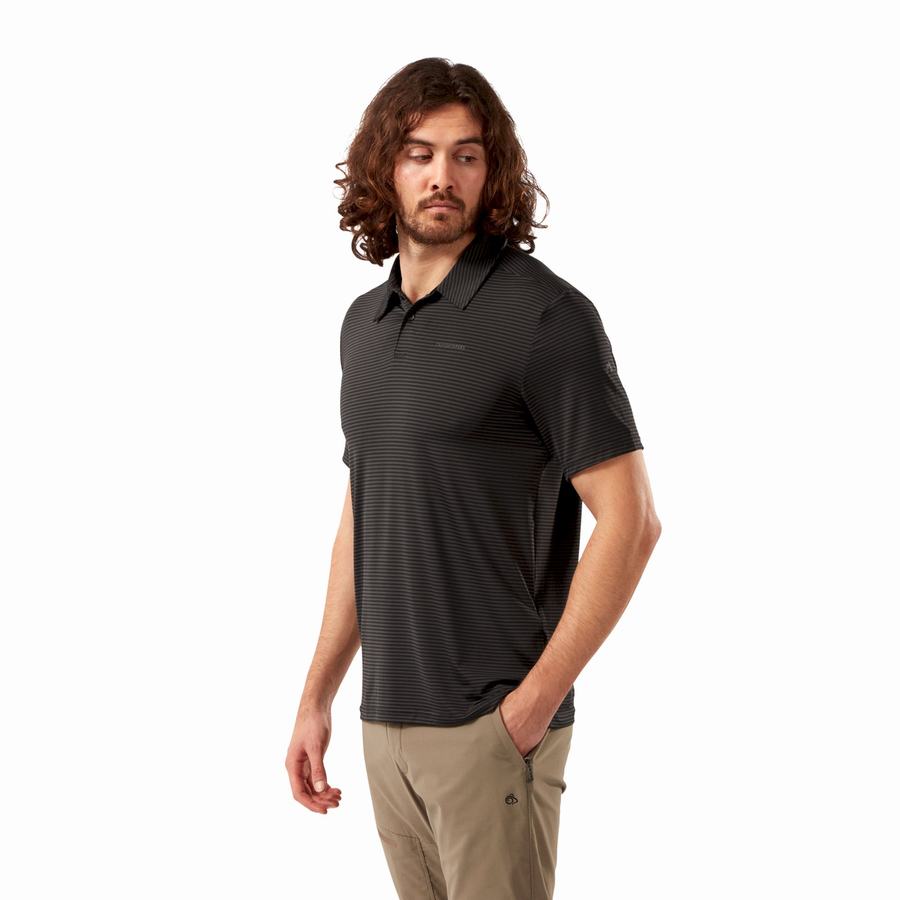 T Shirts Craghoppers NosiLife Pro Corta Sleeved Polo Homme Noir Stripes | DIT6138TA