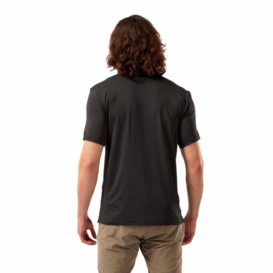 T Shirts Craghoppers NosiLife Pro Corta Sleeved Polo Homme Noir Stripes | DIT6138TA