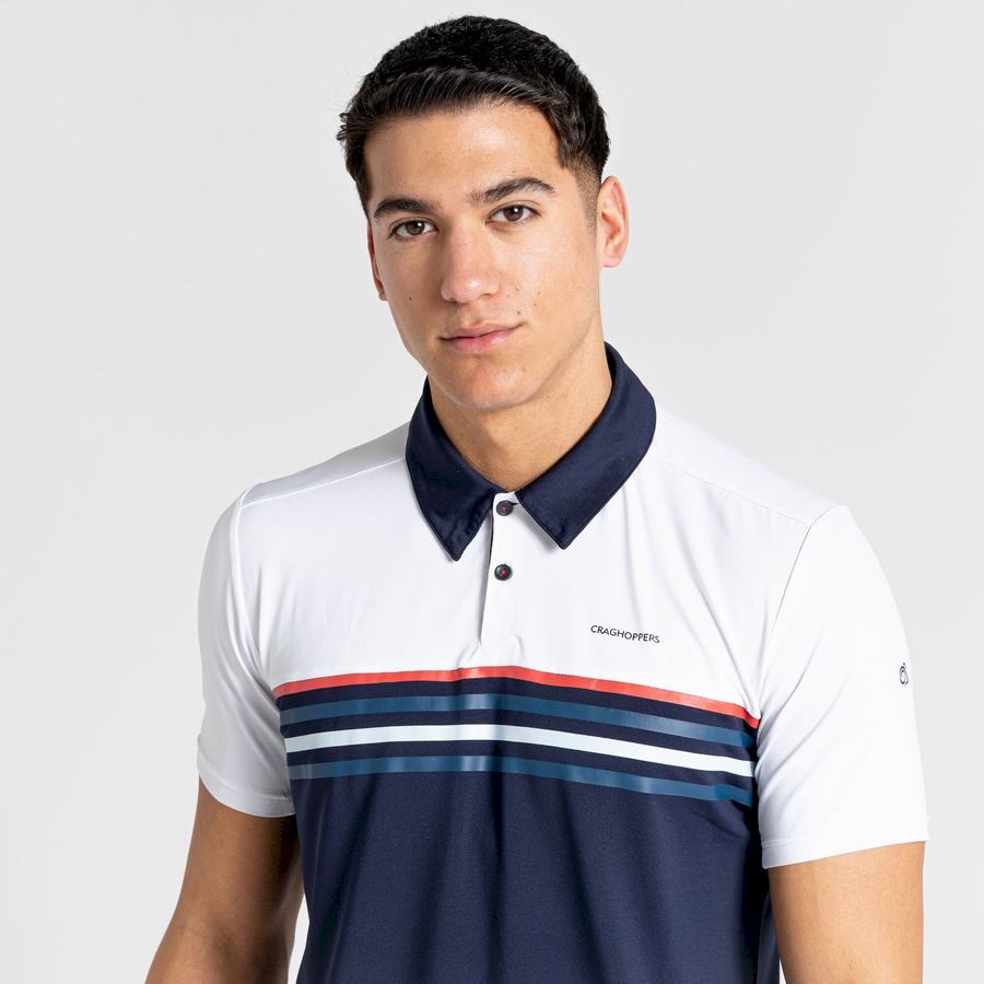 T Shirts Craghoppers NosiLife Pro Corta Sleeved Polo Homme Blanche Bleu Bleu Marine | YFE5667AA
