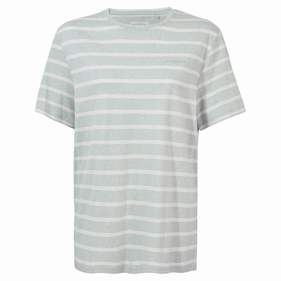 T Shirts Craghoppers Nosibotanical Sten Corta Sleeved Homme Vert Stripes | YLO5139PK