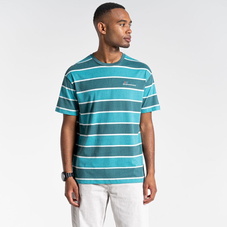 T Shirts Craghoppers Ventura Corta Sleeved Homme Vert Stripes | PVP2618UG