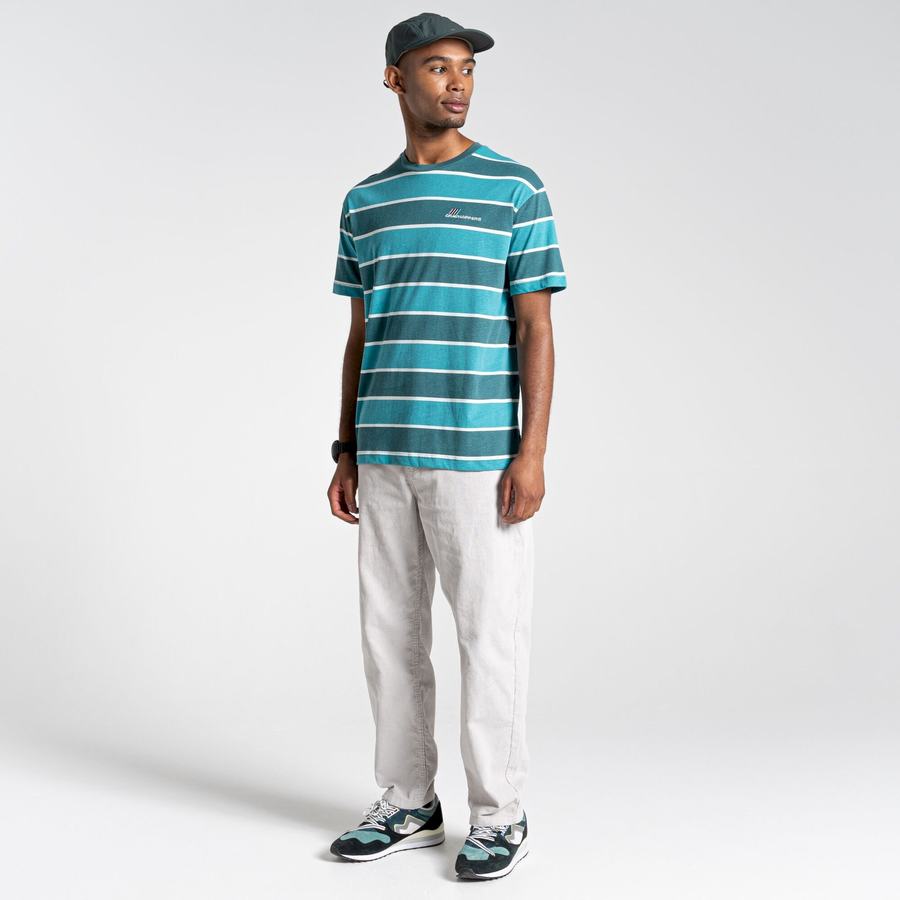 T Shirts Craghoppers Ventura Corta Sleeved Homme Vert Stripes | PVP2618UG