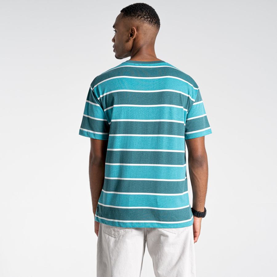 T Shirts Craghoppers Ventura Corta Sleeved Homme Vert Stripes | PVP2618UG
