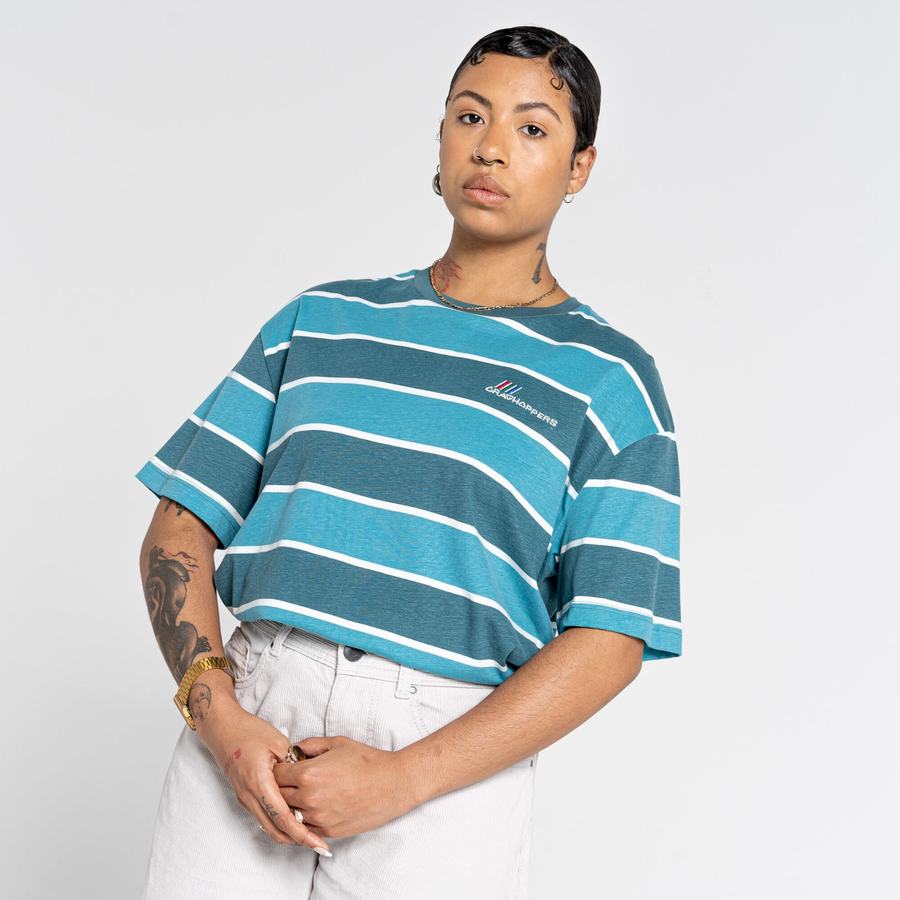 T Shirts Craghoppers Ventura Corta Sleeved Homme Vert Stripes | PVP2618UG