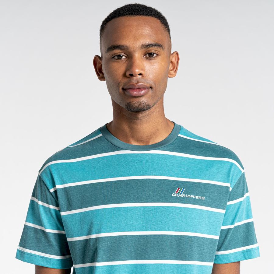 T Shirts Craghoppers Ventura Corta Sleeved Homme Vert Stripes | PVP2618UG