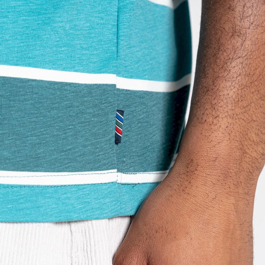 T Shirts Craghoppers Ventura Corta Sleeved Homme Vert Stripes | PVP2618UG