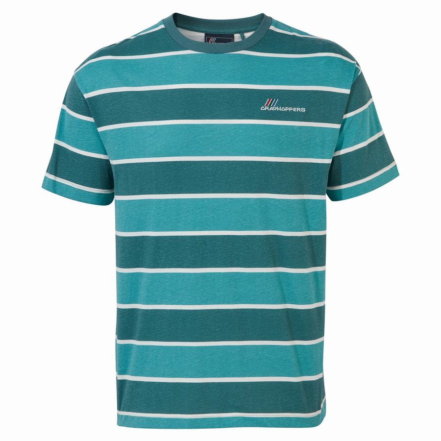 T Shirts Craghoppers Ventura Corta Sleeved Homme Vert Stripes | PVP2618UG