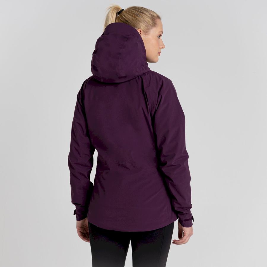 Vestes Craghoppers Anza Femme Violette | DFI7262AN