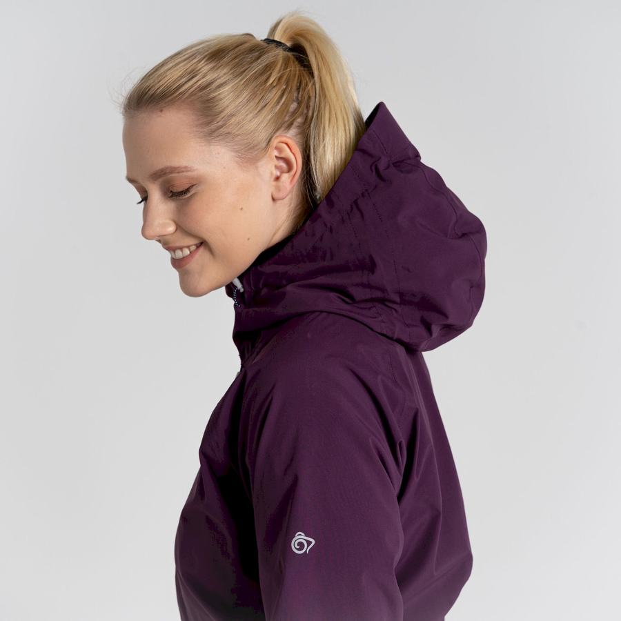 Vestes Craghoppers Anza Femme Violette | DFI7262AN