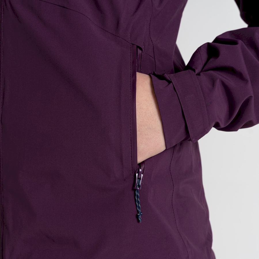 Vestes Craghoppers Anza Femme Violette | DFI7262AN