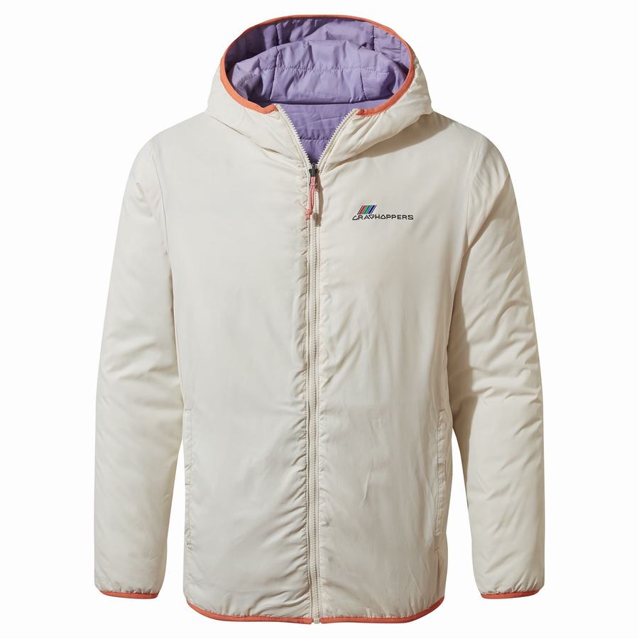 Vestes Craghoppers Cameo CompressLite Encapuchonné Homme Violette | XOK1254QI