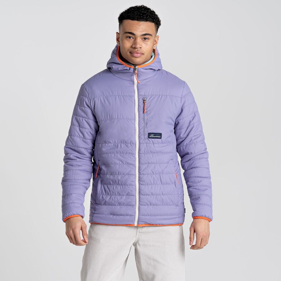 Vestes Craghoppers Cameo CompressLite Encapuchonné Homme Violette | XOK1254QI