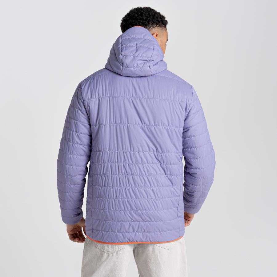 Vestes Craghoppers Cameo CompressLite Encapuchonné Homme Violette | XOK1254QI