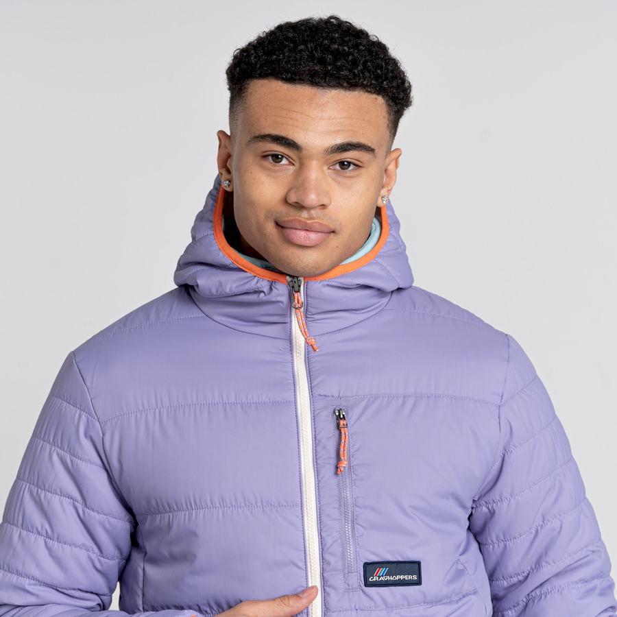 Vestes Craghoppers Cameo CompressLite Encapuchonné Homme Violette | XOK1254QI