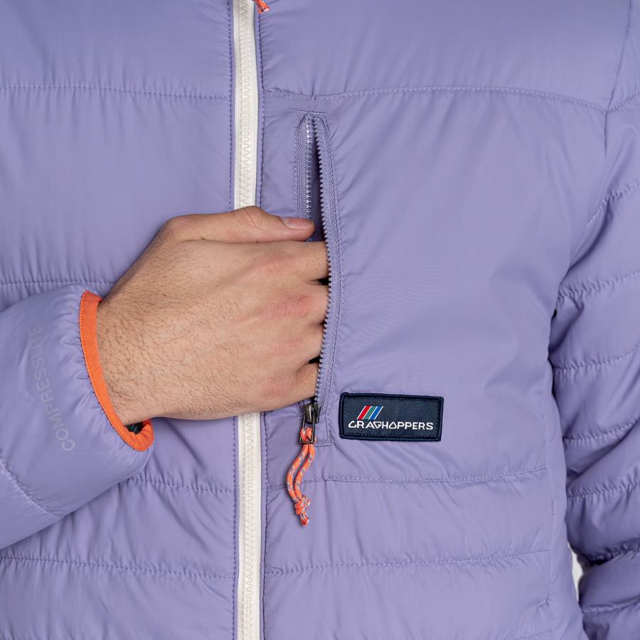 Vestes Craghoppers Cameo CompressLite Encapuchonné Homme Violette | XOK1254QI