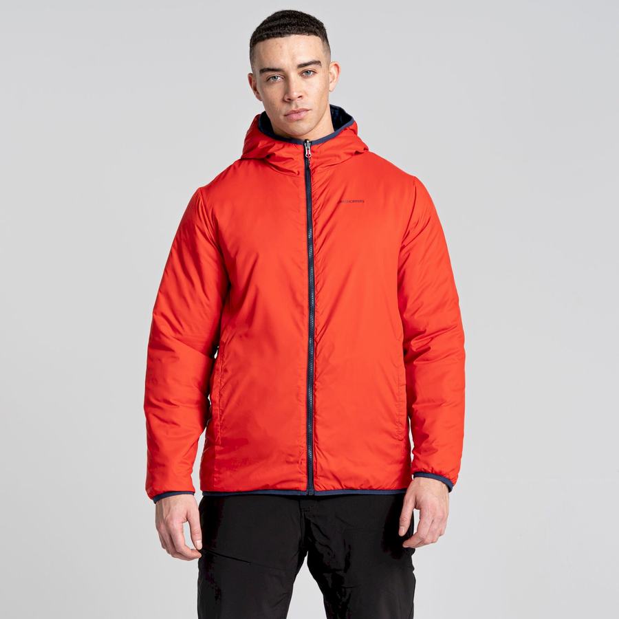Vestes Craghoppers Compresslite VI Encapuchonné Homme Bleu Bleu Marine Rouge | QXS5639KD